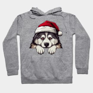 Christmas Peeking Alaskan Malamute Dog Hoodie